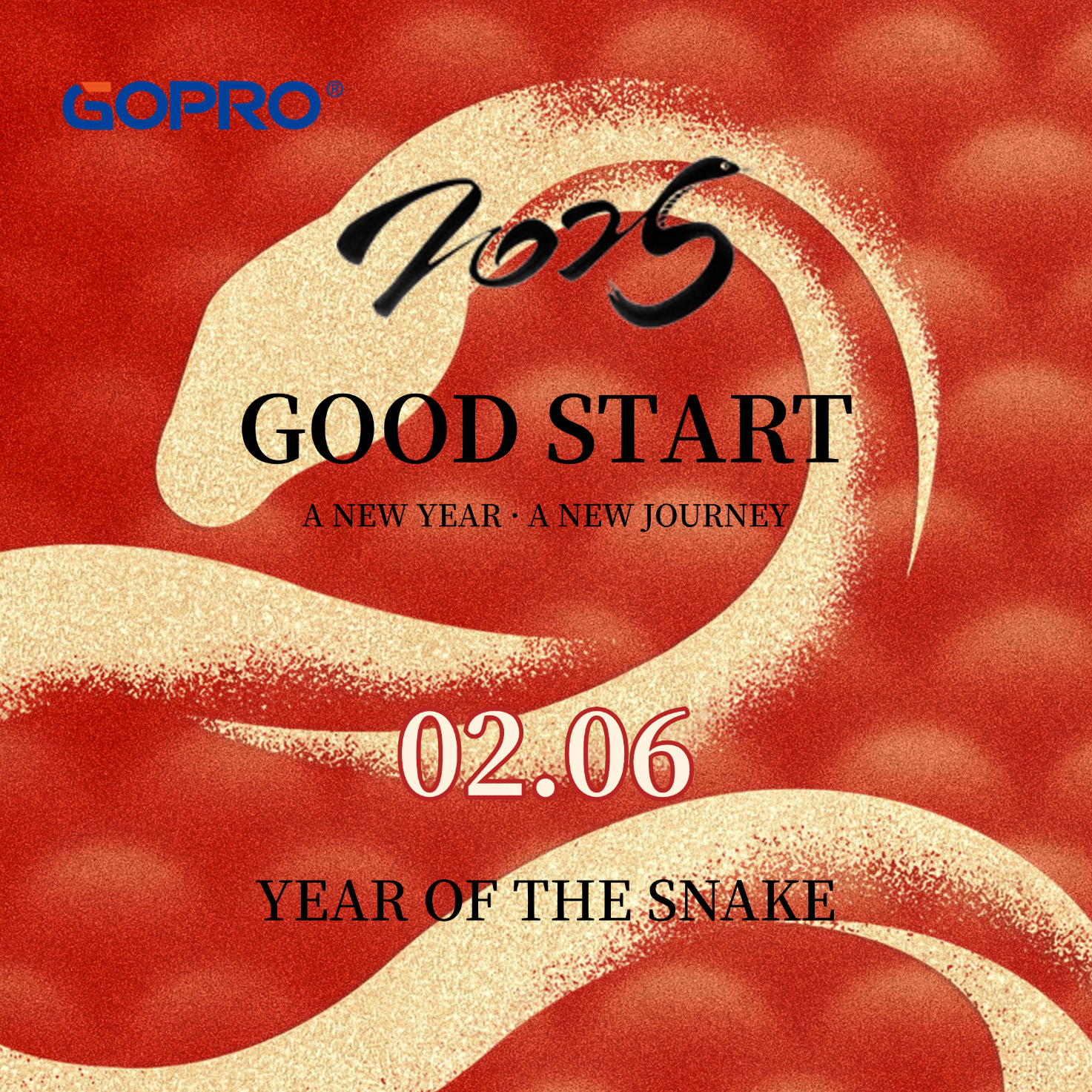 Ԫ���������ף����ɢ����Ƭ����ȫ�����溣��.png